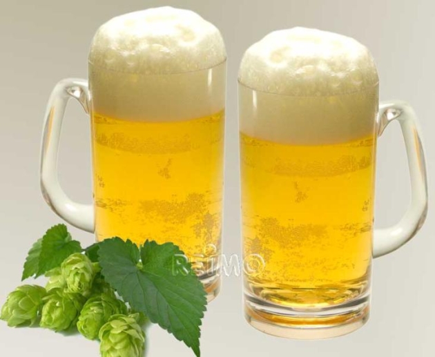 Ölglas 2-pack Camp4