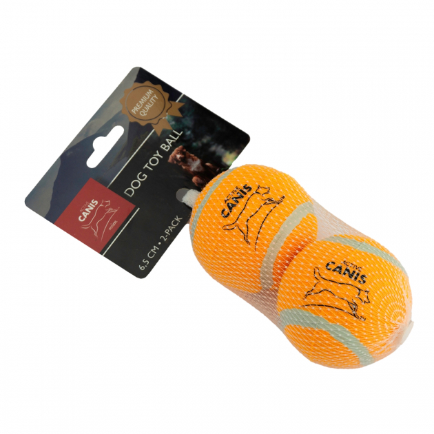 Canis Tennisboll 2-pack Active