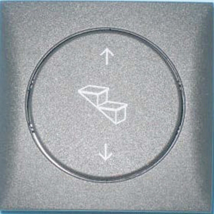 Strömbrytare 12V Fotsteg Silver i gruppen Husvagn & Husbil / Elektronik / Strömbrytare & In/Uttag / Strömbrytare hos Campingvaruhuset i Norden AB (65624)