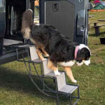 Camp4 Hundtrappa Jil Hopfällbar Camp4 Hundtrappa Jil Hopfällbar