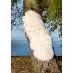 Lammskinnsfäll Gently Vit 180x60cm Royal Camping Lammskinnsfäll Gently Vit 180x60cm Royal Camping