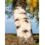 Lammskinn Molly 180x60cm Royal Camping Lammskinn Molly 180x60cm Royal Camping