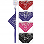 Hundhalsband med scarf Hundhalsband med scarf