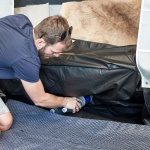 Isabella Camplet North