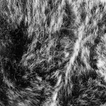 Royal Camping Pläd Amalia Grå 130x170 cm Royal Camping Pläd Amalia Grå 130x170 cm