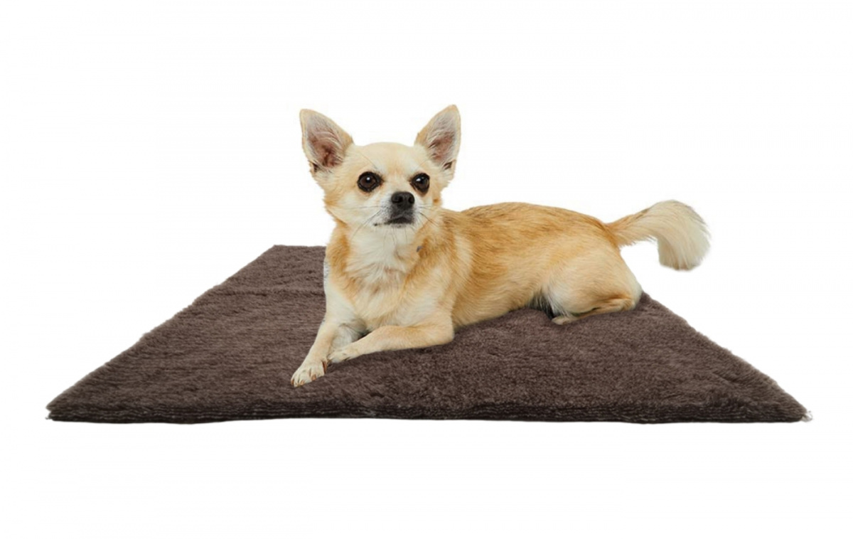 Canis Vetbed M 75x100cm i gruppen Övrigt / För Husdjuren hos Campingvaruhuset i Norden AB (82845)