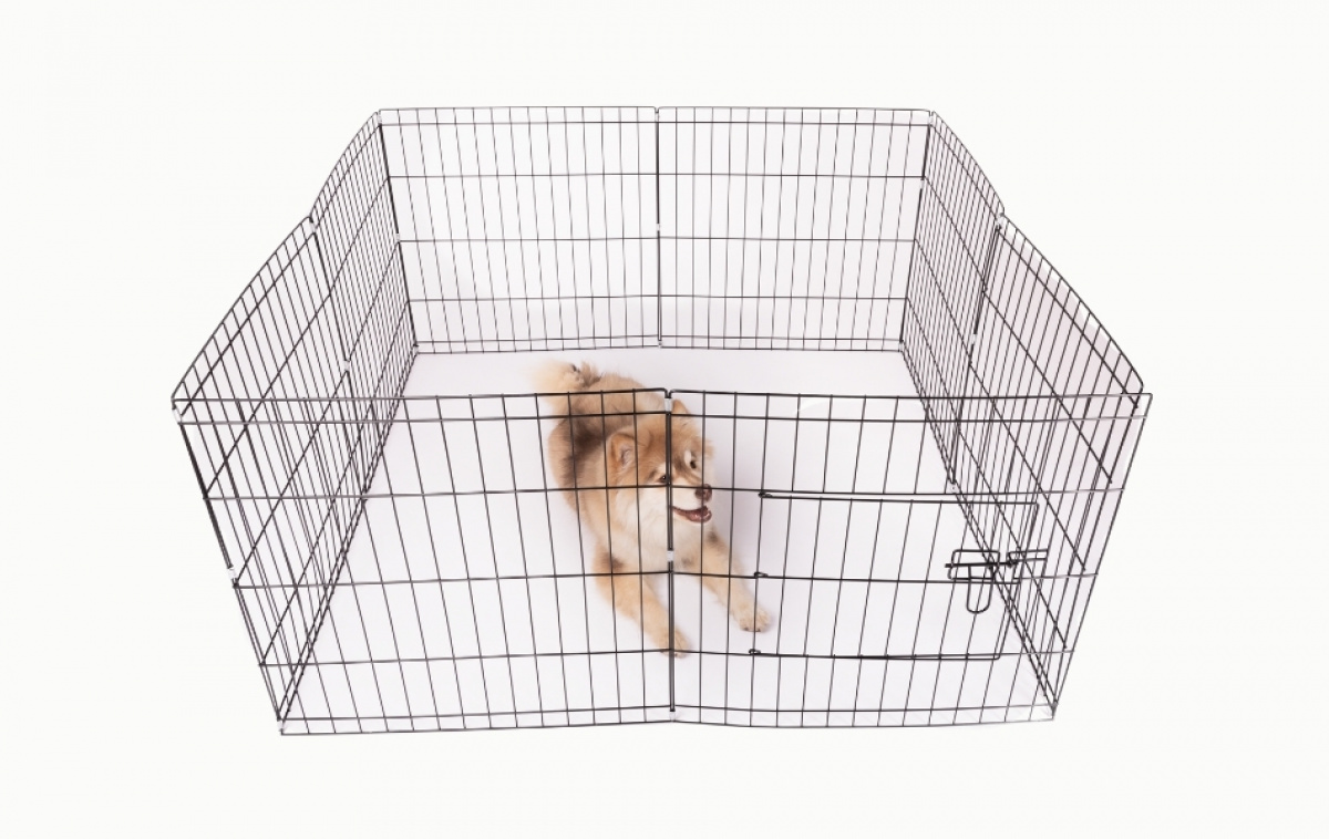 Canis Hundgård Active i gruppen Övrigt / För Husdjuren hos Campingvaruhuset i Norden AB (82857)