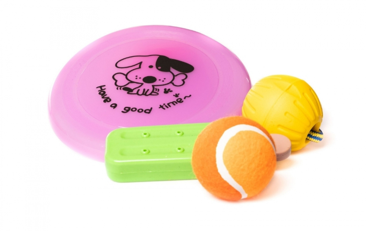 Canis Sommarkit Lek Active i gruppen Övrigt / För Husdjuren hos Campingvaruhuset i Norden AB (82864)