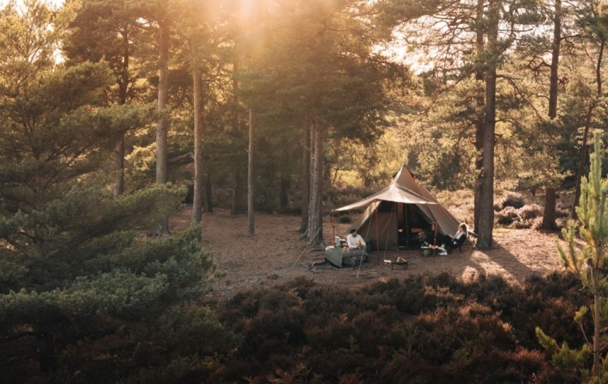 Kampa Pineveil 04 i gruppen Outdoor / Campingtält hos Campingvaruhuset i Norden AB (82932)