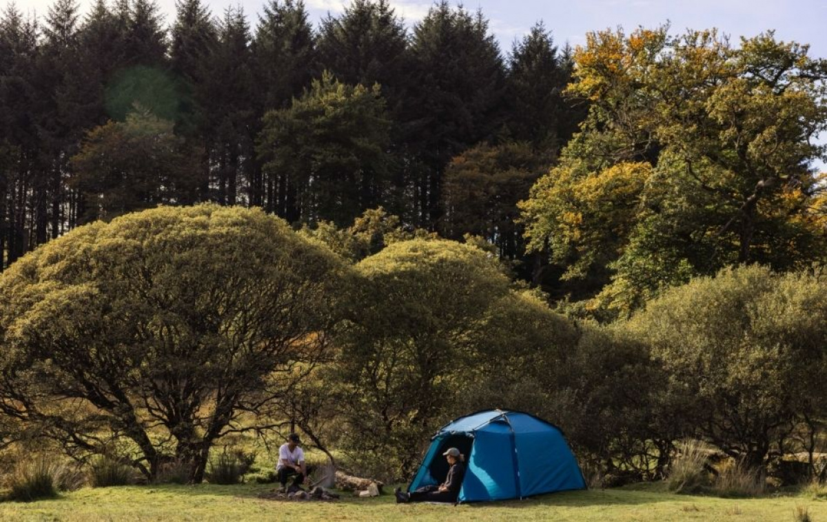 Kampa Mossborn 03 Aegean i gruppen Outdoor / Campingtält hos Campingvaruhuset i Norden AB (82942)