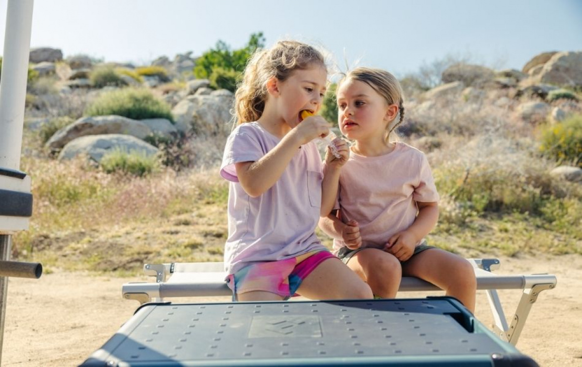 Dometic Kompressorkylbox CFX2 45L i gruppen Husvagn & Husbil / Värme, Kyla & Ventilation / Kylskåp & Kylboxar / Kylboxar hos Campingvaruhuset i Norden AB (83788)