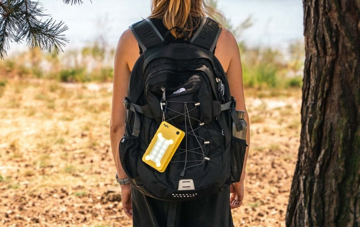 Aqiila Powerbird 2in1 Powerbank & Solpanel BS10 i gruppen Husvagn & Husbil / Elektronik / Solpaneler hos Campingvaruhuset i Norden AB (84018)