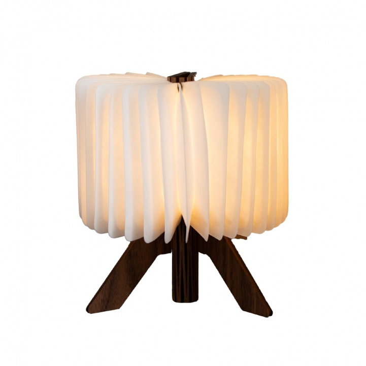 Bordslampa R-Shapelamp i gruppen Hem & Inredning / Belysning & Lyktor hos Campingvaruhuset i Norden AB (84073)